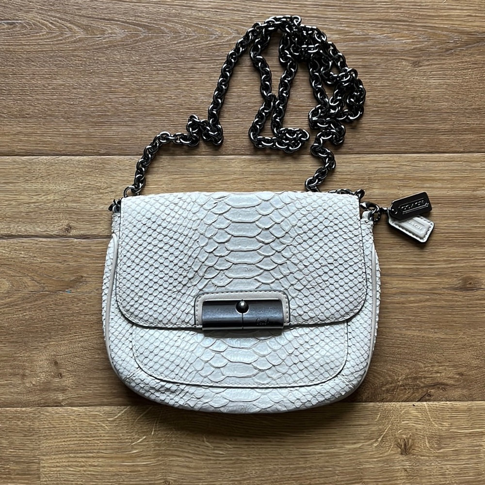 Snakeskin Coach Bag